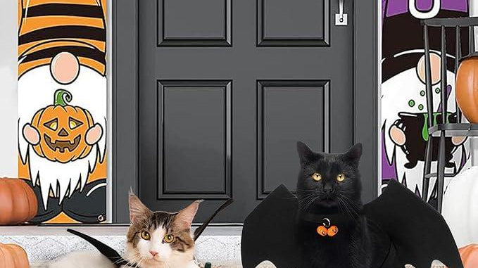 Cute Bat Wings for Cats: The Purrfect Halloween Costume! 🦇