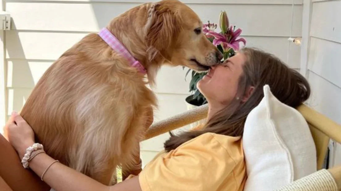 Happinesspaws the best pet shop