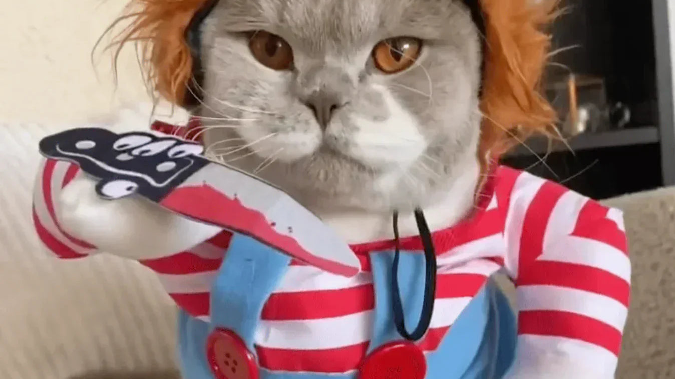 Chucky Cat Costume