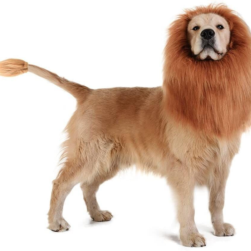 The Lion Dog Costume by HappinessPaws™, transforming your canine companion into the king of the jungle