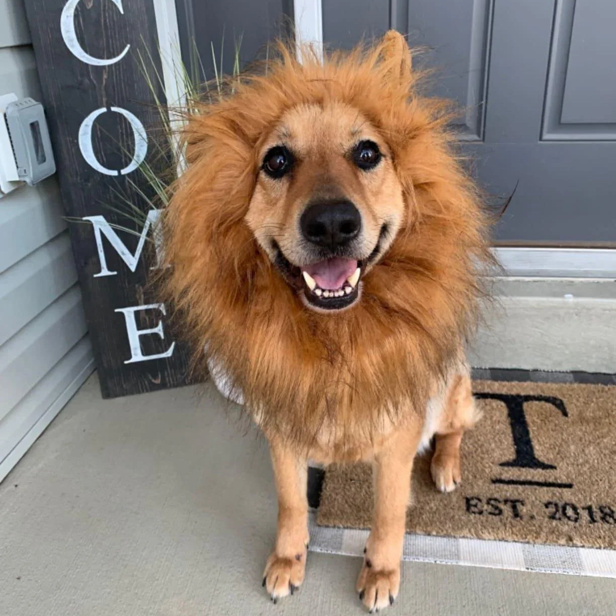 Lion Dog Costume - HappinessPaws