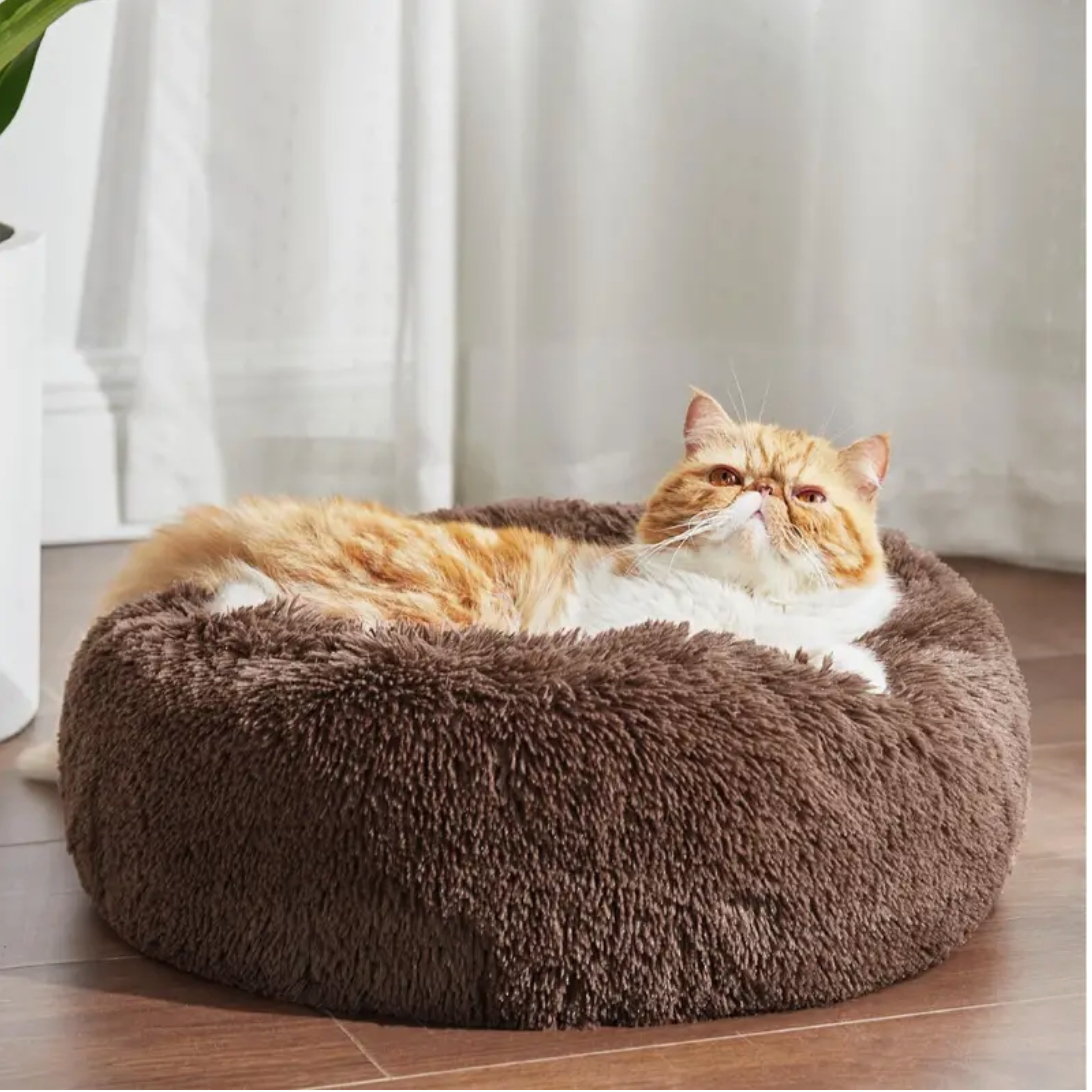 An M-sized Brown Donut Bed by HappinessPaws™, offering a cozy 50 cm diameter for small pets.