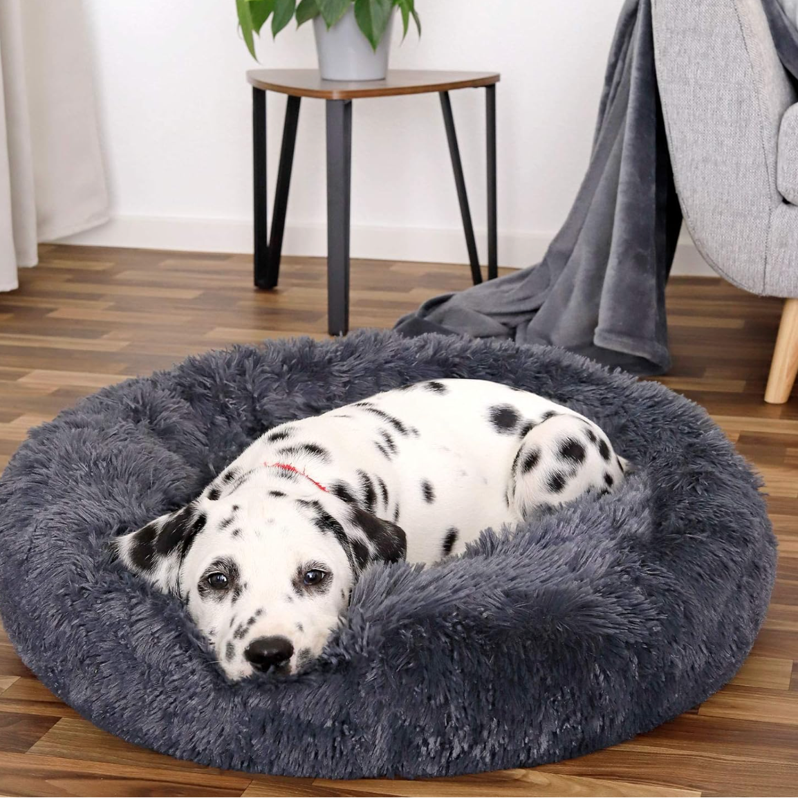 A luxurious L-sized Dark Grey Donut Bed by HappinessPaws™, providing a 60 cm diameter sleeping space."