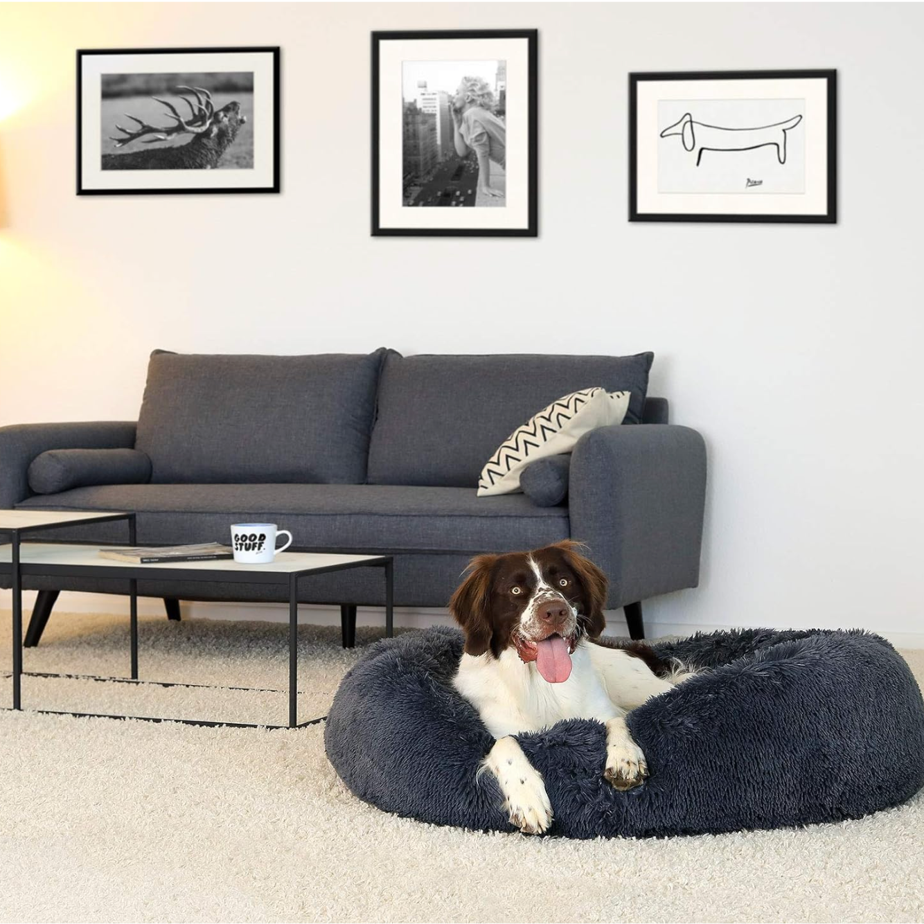 A 4XL-sized Dark Grey Donut Bed by HappinessPaws™, offering a generous 100 cm diameter for giant breeds
