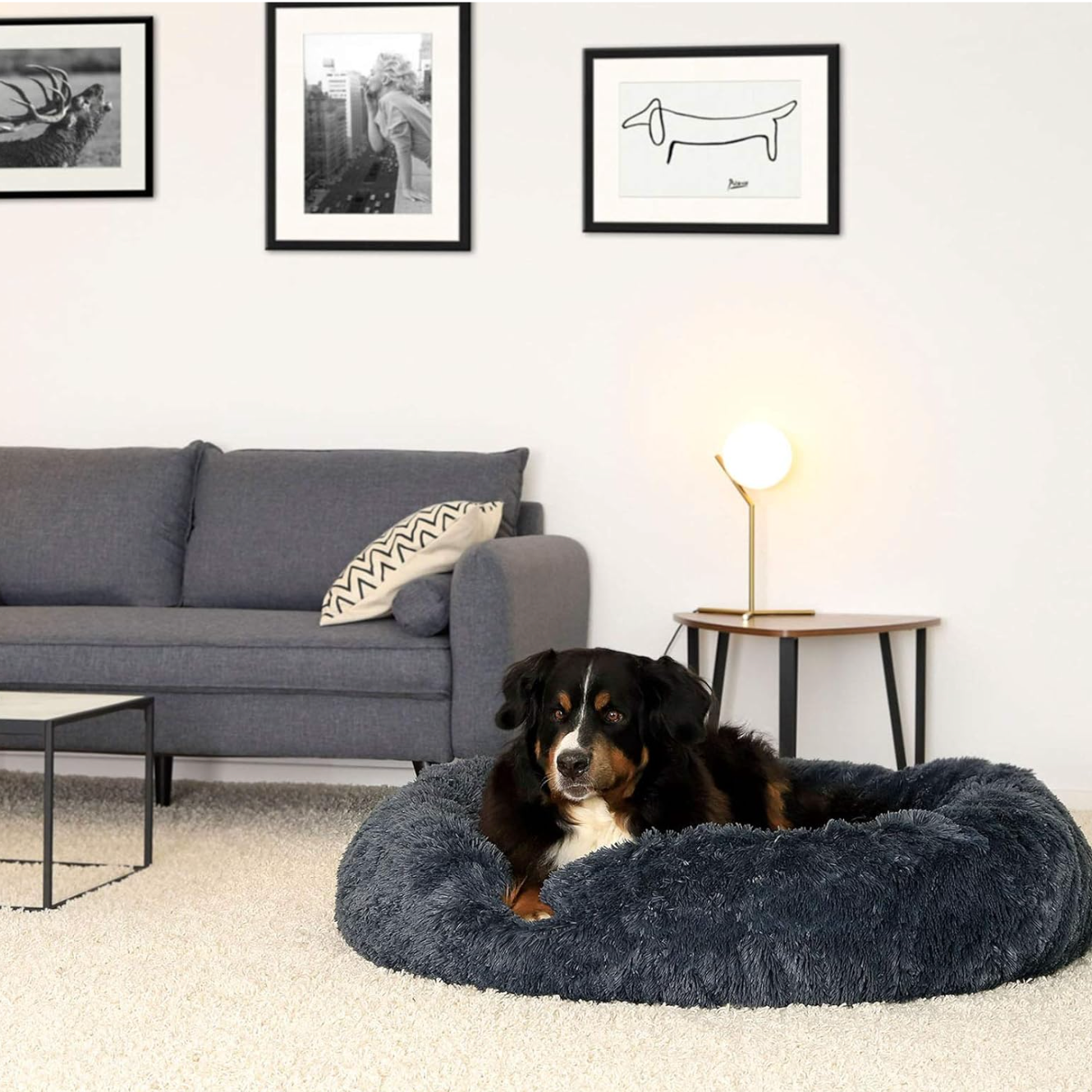 A 5XL-sized Dark Grey Donut Bed by HappinessPaws™, providing a massive 120 cm diameter for maximum comfort