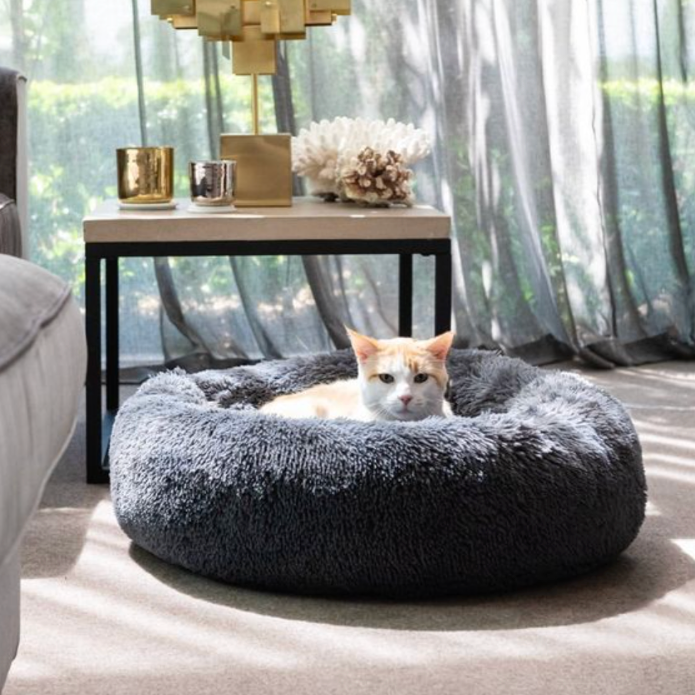 Dark Grey Donut Cat Bed by HappinessPaws™ - Promotes Healthy Sleeping Posture for Cats
