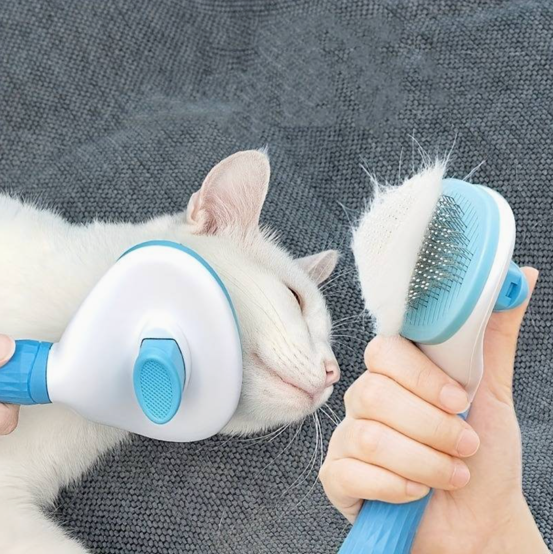 Blue Cat Self-Cleaning Brush HappinessPawsâą Cat testing