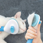 Blue Cat Self-Cleaning Brush HappinessPawsâą Cat testing