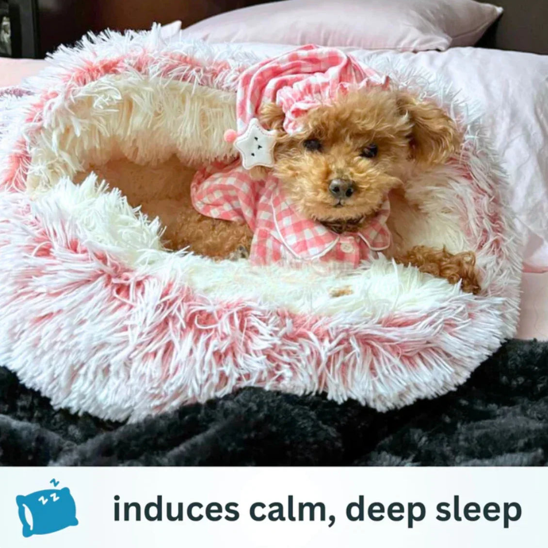 Cozy cocoon - pet bed HappinessPaws™