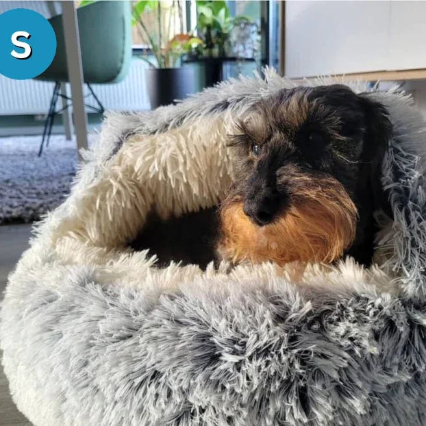 Cozy cocoon - pet bed HappinessPaws™