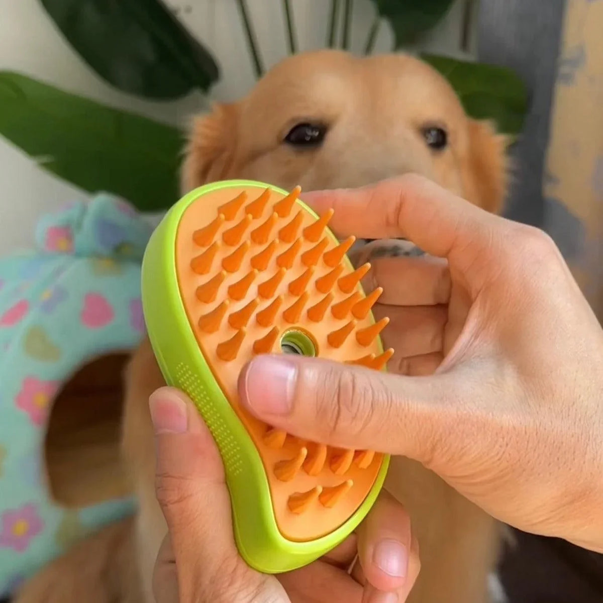Dog Steamy Brush – Deshedding, Massage & Bathing Tool for dogs ...