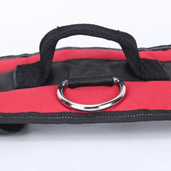 Personalised No Pull Dog Harness HappinessPaws™ - Buckle Detail