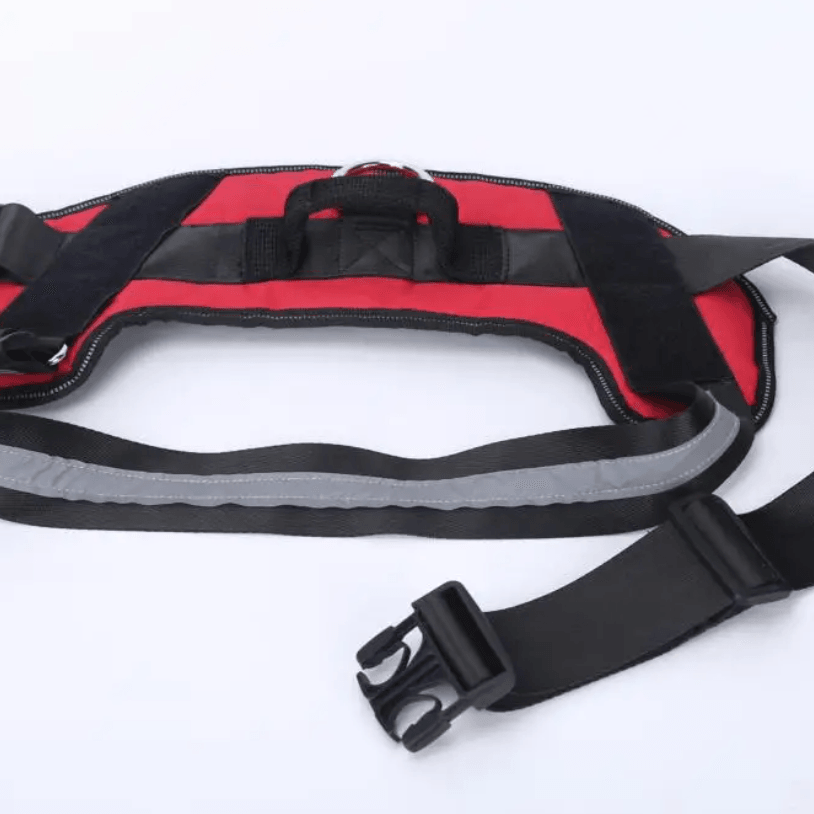 Personalised No Pull Dog Harness HappinessPaws™ - Adjustable Straps Detail