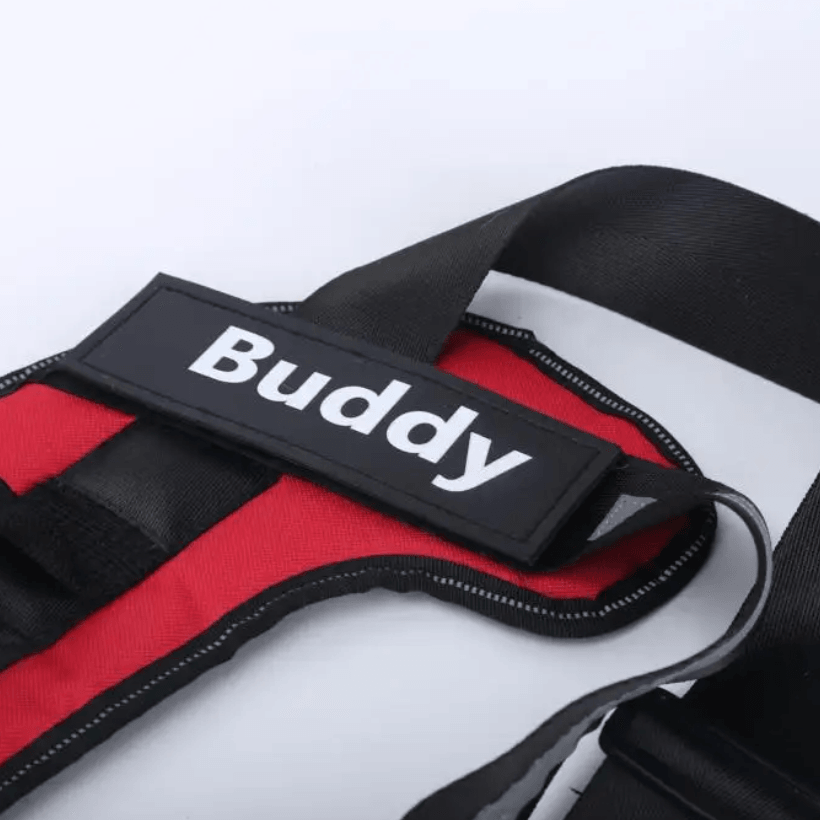 Personalised No Pull Dog Harness HappinessPaws™ - Name Detail