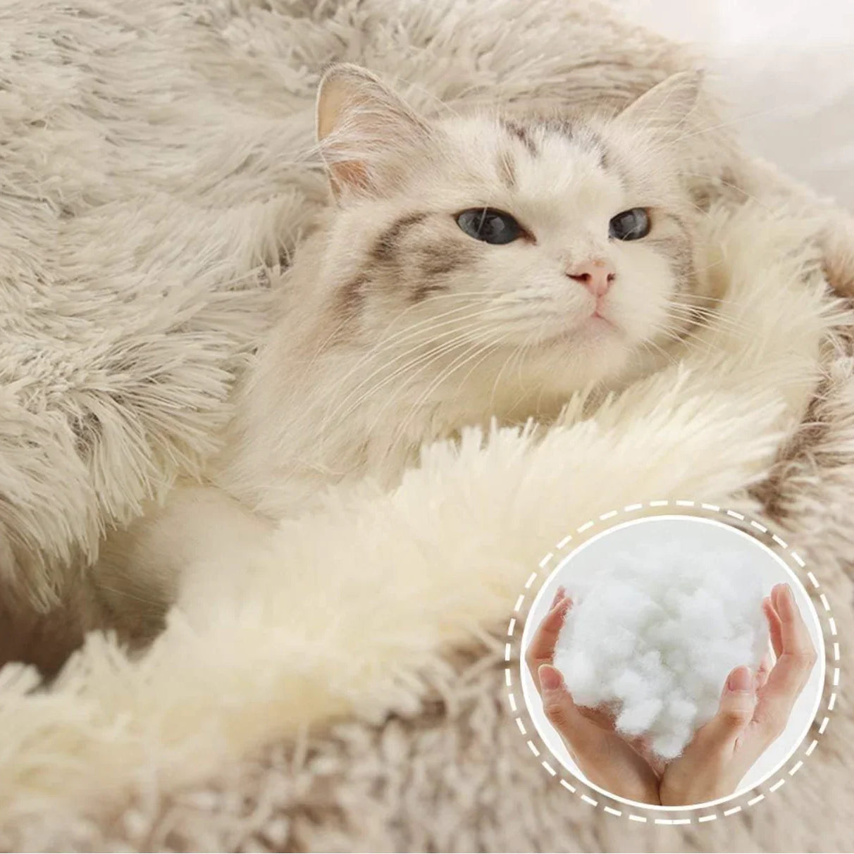 Cat relaxing in a beige fluffy cozy cocoon bed with close-up of soft filling material
