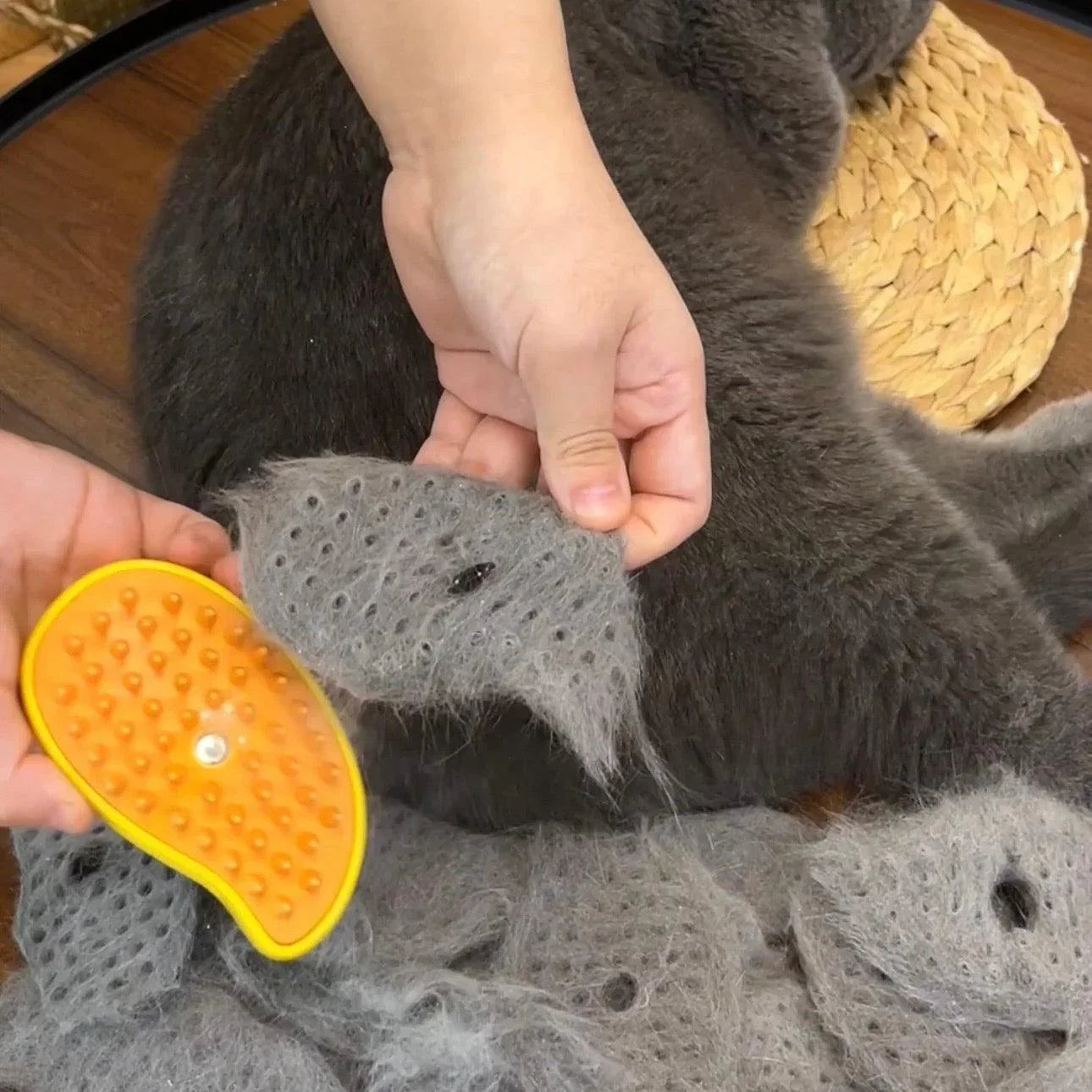 Gray cat's fur removed using the HappinessPaws® Cat Steamy Brush for deshedding.