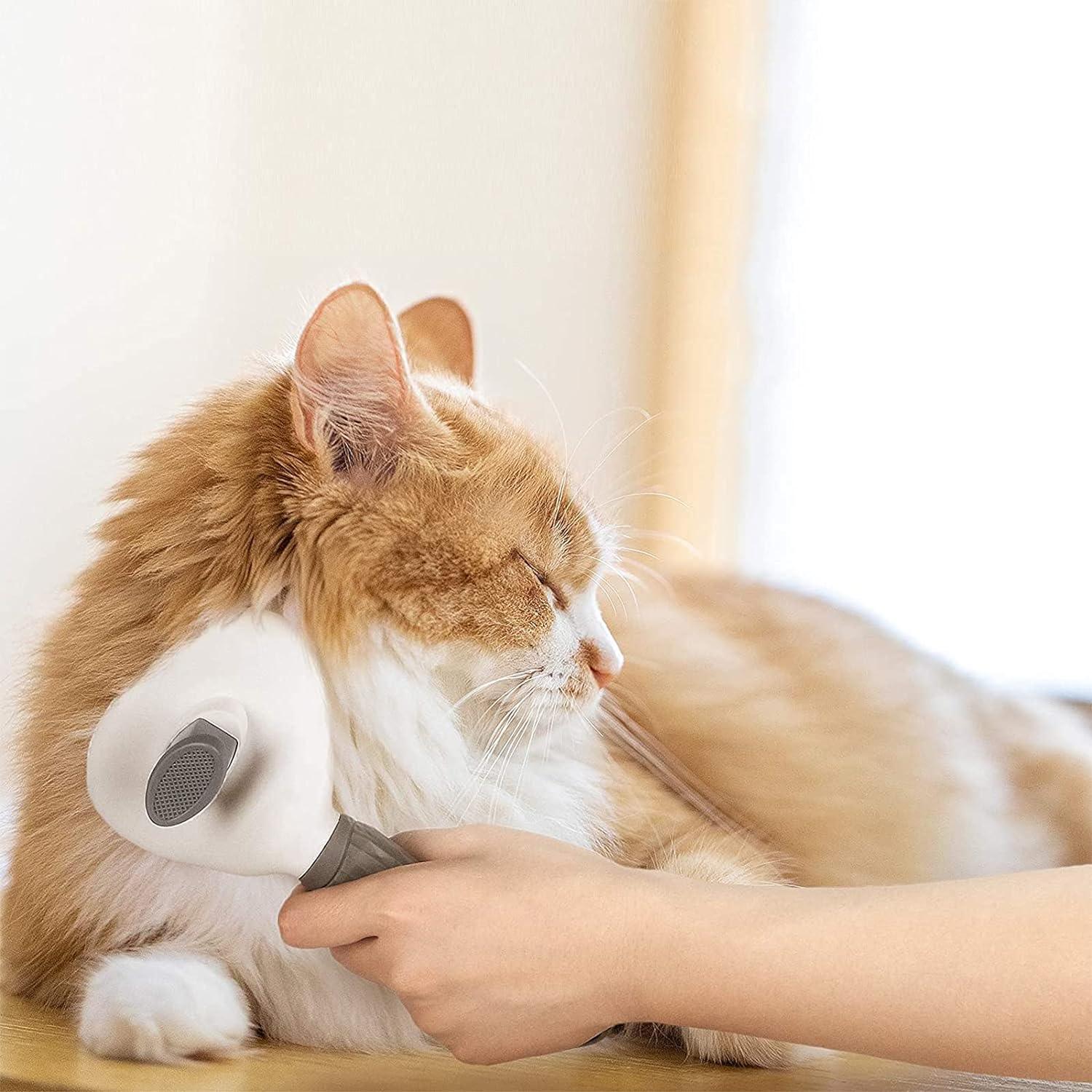 Cat Self-Cleaning Brush by HappinessPawsâą - Gentle Grooming for Cats