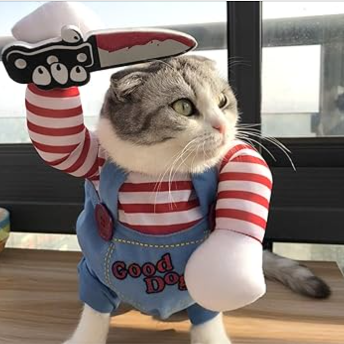 Cat wearing a Chucky costume with red-striped arms, holding a toy knife raised in the air.