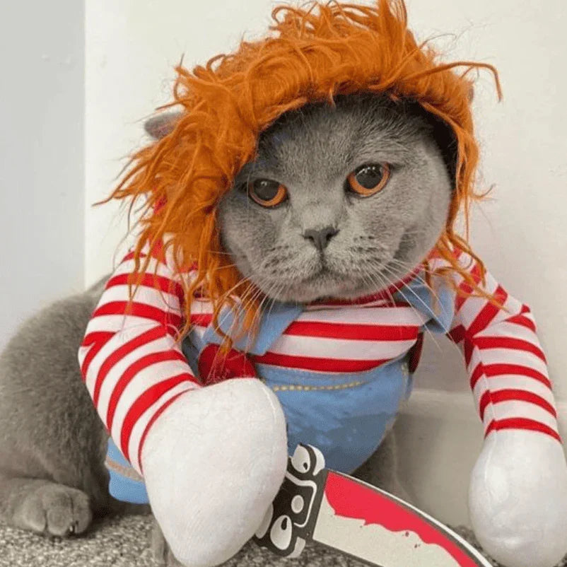 Grumpy-looking cat wearing a Chucky costume with a wig and holding a toy knife.