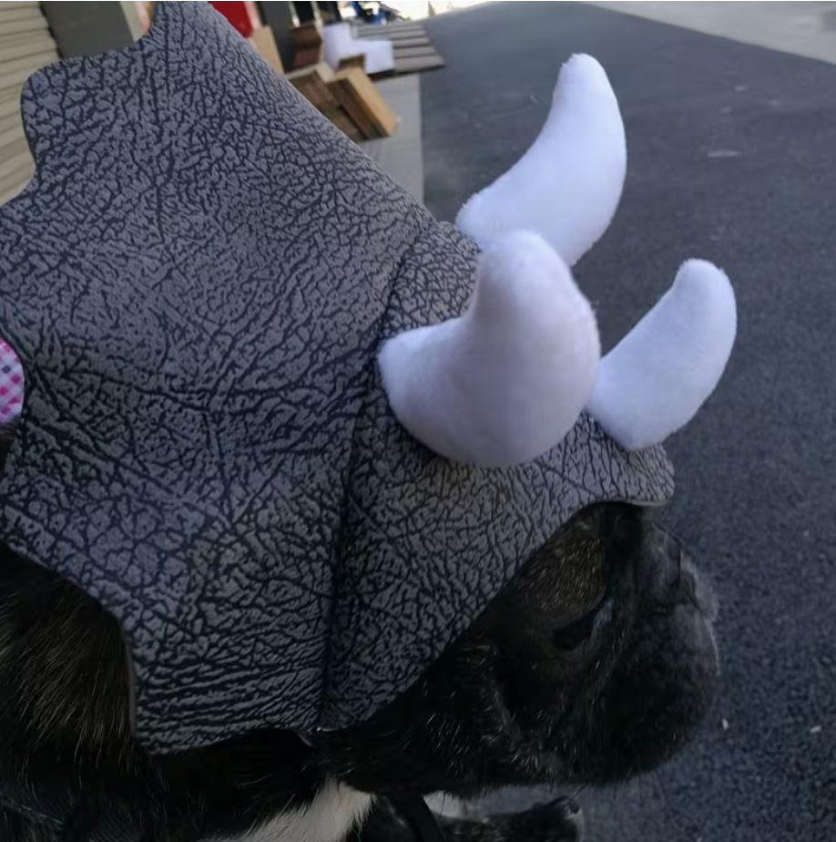 Dog wearing a gray fleece coat with white antlers on a dark surface