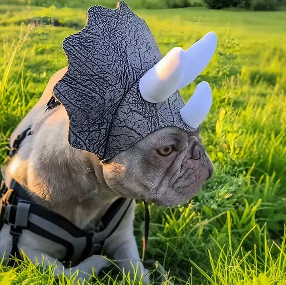 Dog wearing a dinosaur helmet in a grassy field
