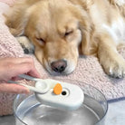 Golden Retriever sleeping beside the 3-in-1 Water Dog Brush by HappinessPaws
