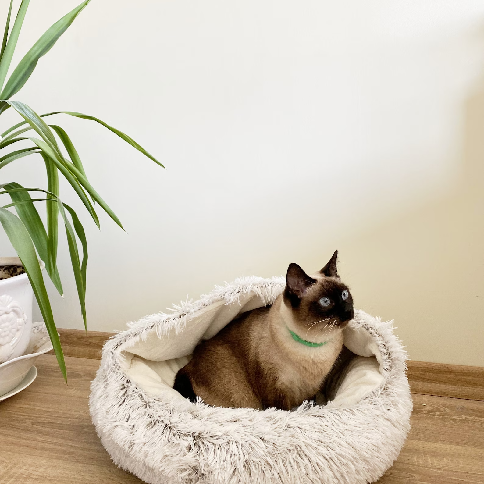 Cat Cozy Cocoon HappinessPaws™ Cat luxurious bed