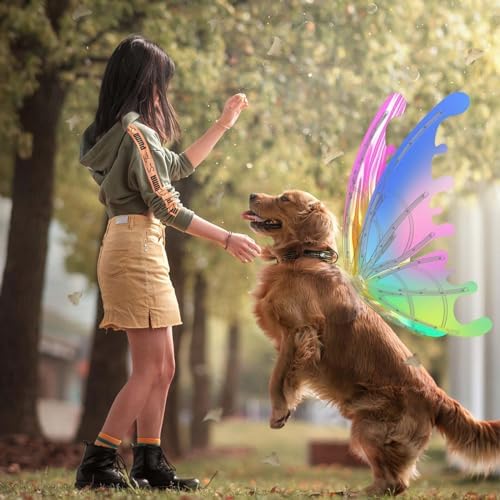 Make Your Dog the Star with Fairy Wings! 🧚‍♀️✨