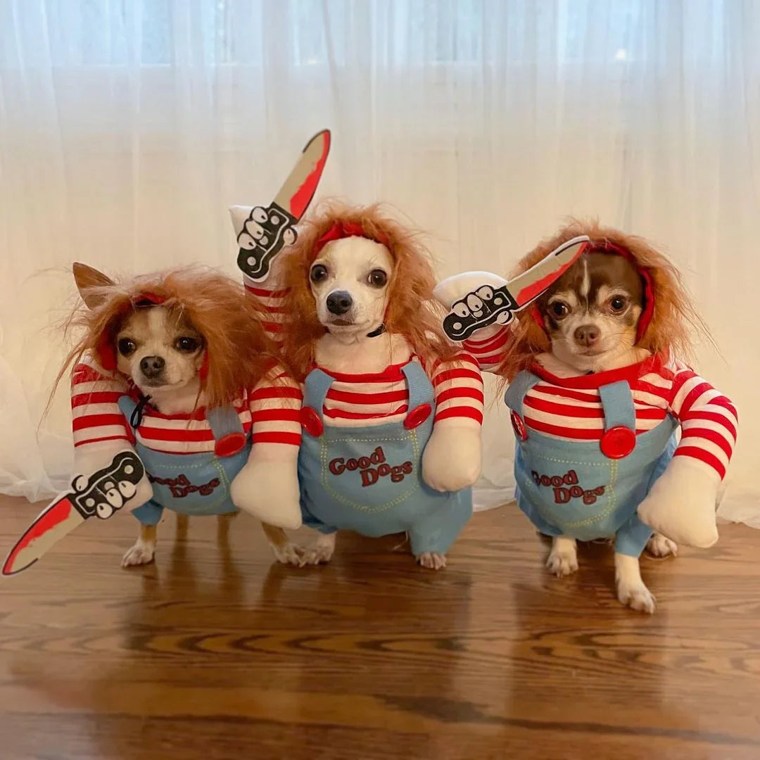 Chucky Dog Costume : Unleash the Horror ! 🔪🎃