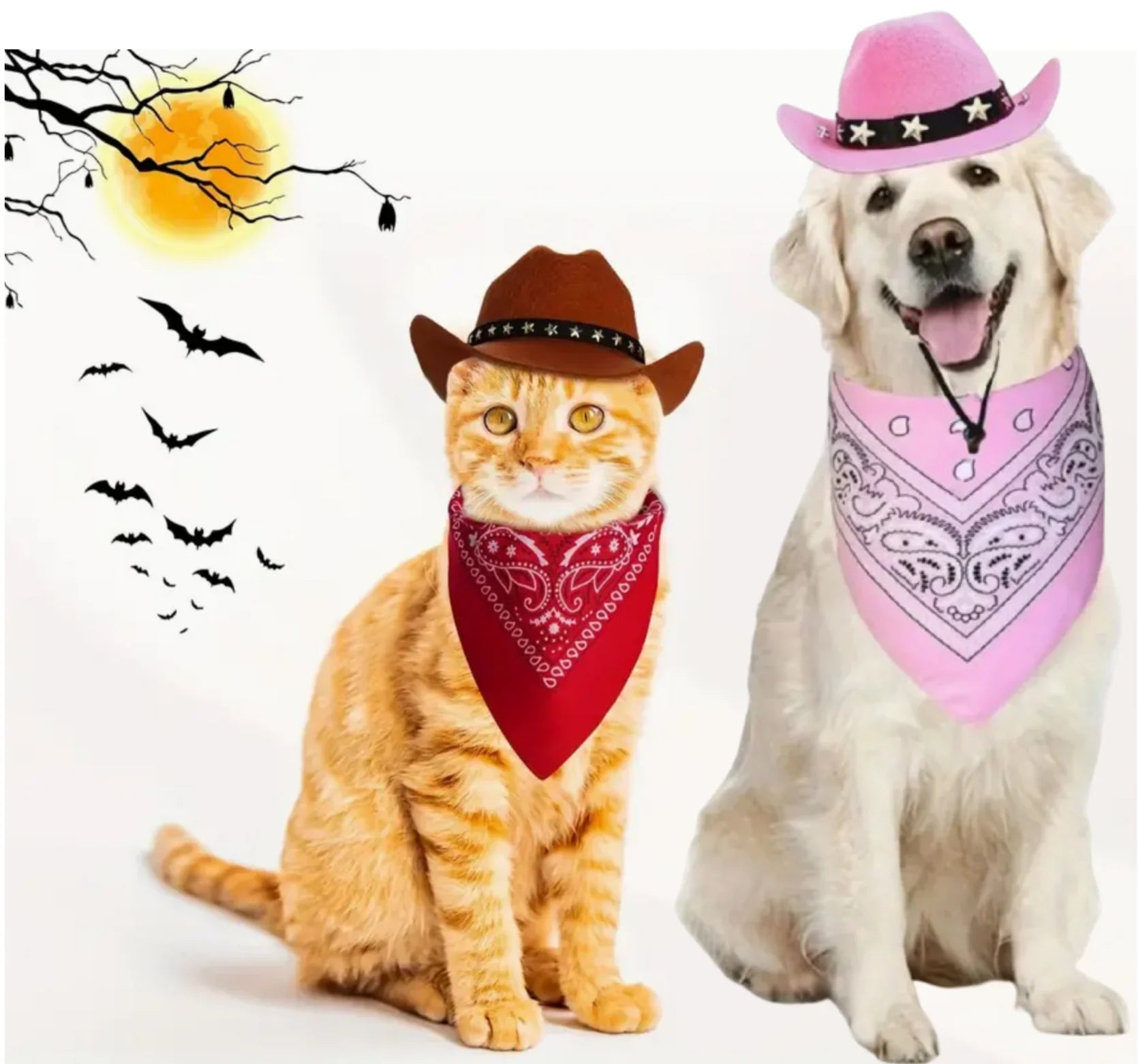 Pet Cowboy Hat for Cats and Dogs