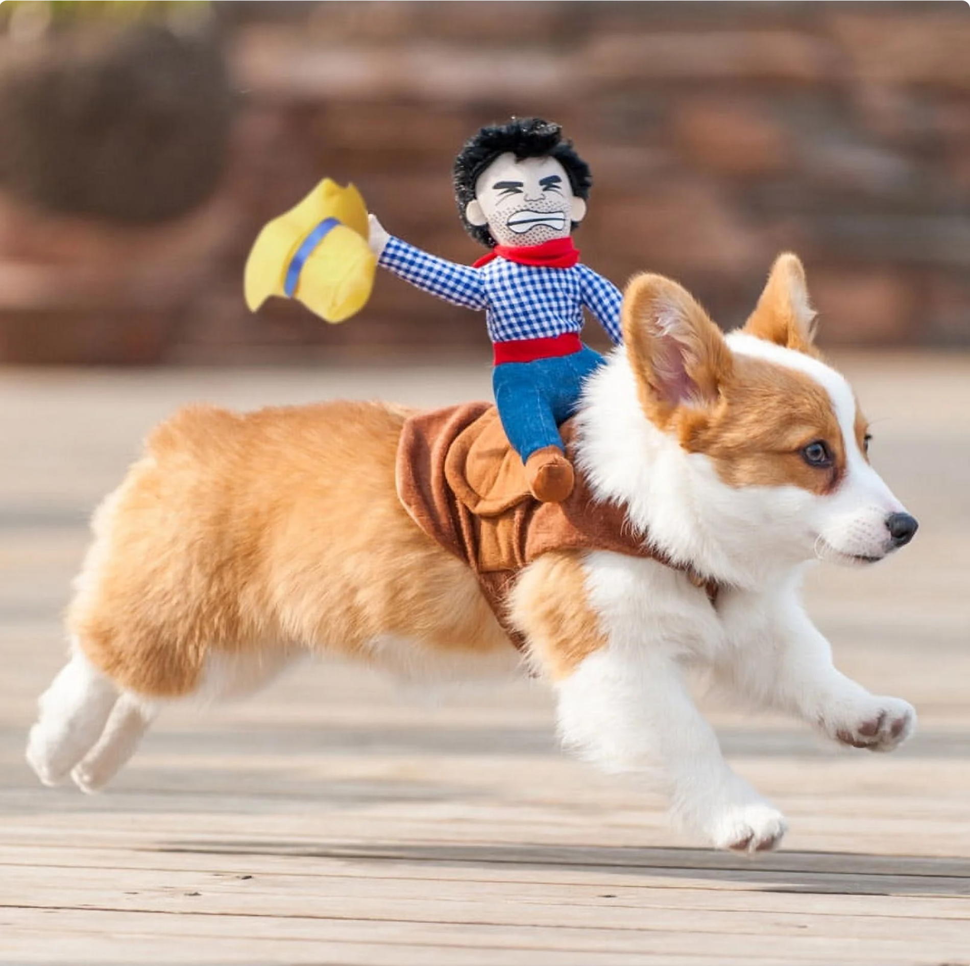 Cowboy Pet Costume : Get Your Dog/ Cat Ready for the Wild West ! 🐕🤠