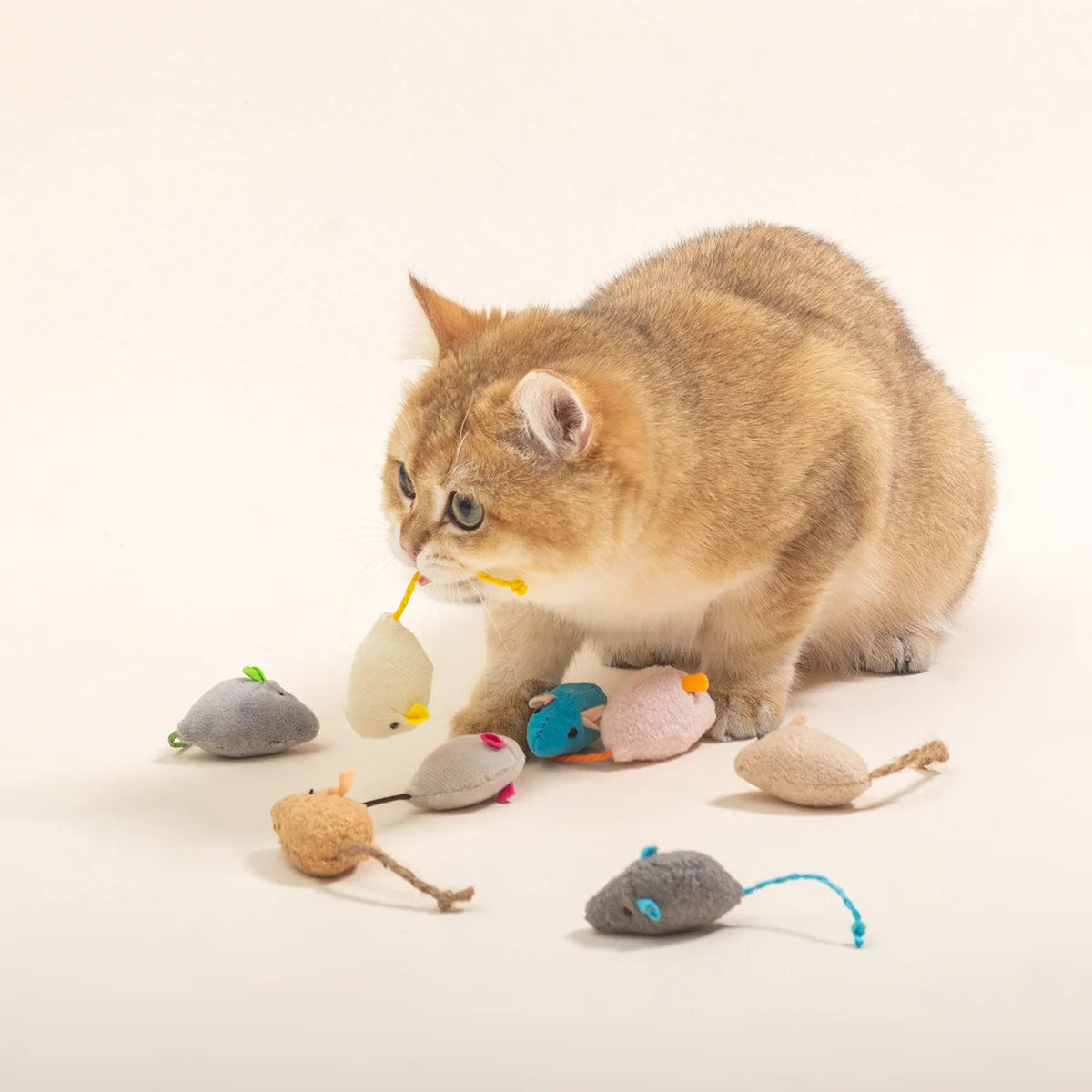 10 Catnip Mouse Toy Pack: Beautiful & Enticing HappinessPaws™