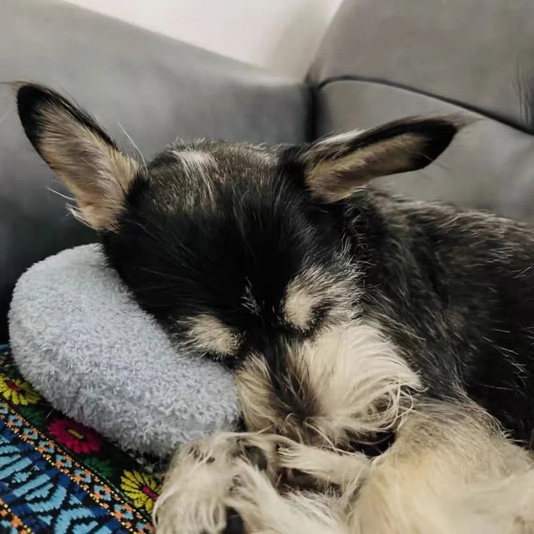 A dog comfortably resting on the Blue Dog Calming Pillow by HappinessPaws™, enjoying the soothing comfort and relaxation it provides.