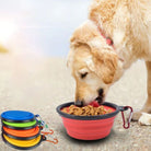 Compact Collapsible Dog Bowl HappinessPaws™