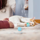 Interactive Cat Toy 360° HappinessPaws™