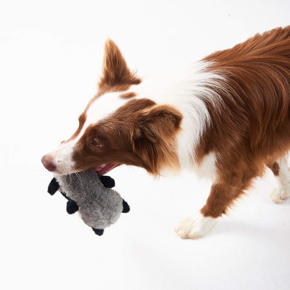 HappinessPaws™ Pack of 3 Squeaky Dog Toys: Encourage active play and mental enrichment for your furry companion