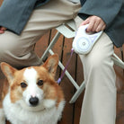 HappinessPaws™ Light-Up Pet Leash: Illuminate your pet's path with this convenient accessory.