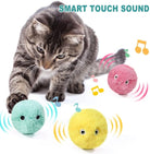 Feline Fun Frenzy Ball Smart touch sound by HappinessPaws™