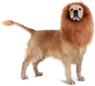 The Lion Dog Costume by HappinessPaws™, transforming your canine companion into the king of the jungle