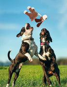 HappinessPaws™ Squeaky Chew Toys: Durable and entertaining toys for your furry companion