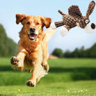 Squeaky Chew Toys by HappinessPaws™: Keep your dog entertained and engaged with these fun toys.