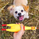 HappinessPaws™ Screaming Chicken: Keep your dog amused with this quirky and fun toy.