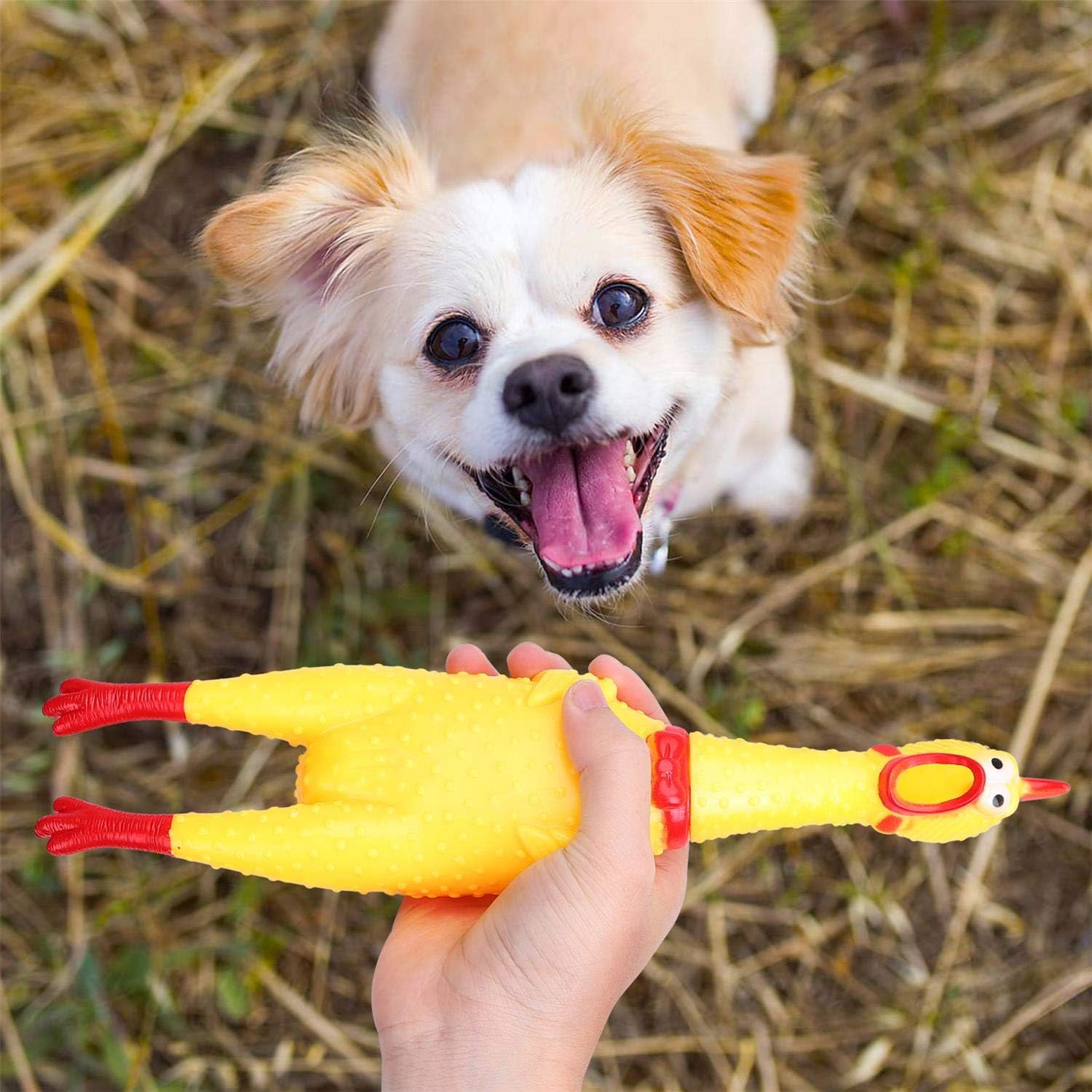 HappinessPaws™ Screaming Chicken: Keep your dog amused with this quirky and fun toy.