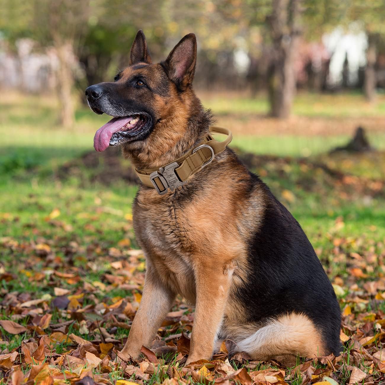 Tactical Military-Grade Dog Collar for Police and Service Dogs