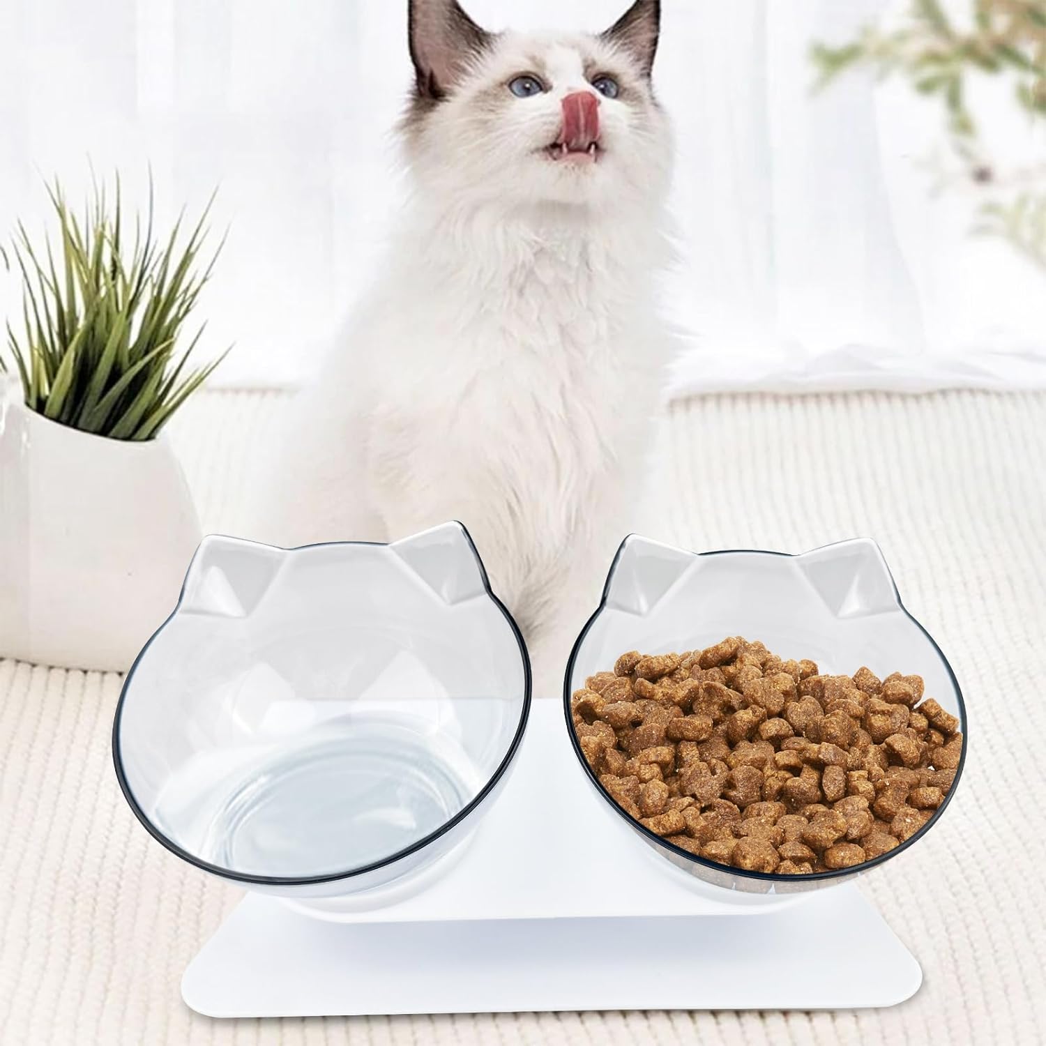 The sleek and modern design of the Elevated Cat Double Bowl by HappinessPaws™, enhancing your home decor