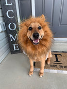 Lion Dog Costume - HappinessPaws