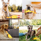 Screaming Chicken Dog Toy: Enhance bonding moments with your dog through interactive play.