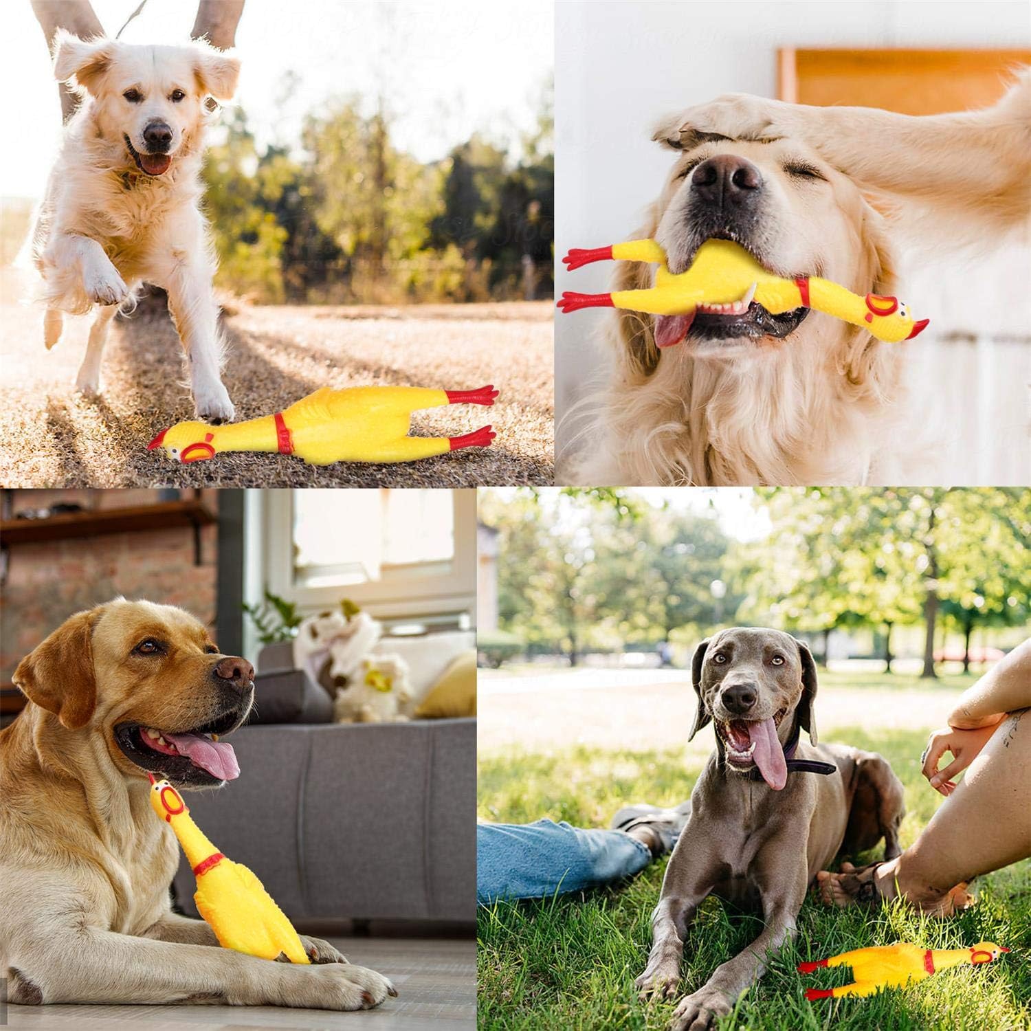 Screaming Chicken Dog Toy: Enhance bonding moments with your dog through interactive play.