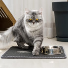 A  cat walking comfortably on the soft surface of the Ultimate Cat Litter Mat by HappinessPaws®