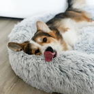 An L-sized Ash Absolut Soothing Bed by HappinessPaws™, featuring an 80 by 80 centimeter sleeping surface for medium-sized pets